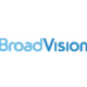 logo broad vision blu