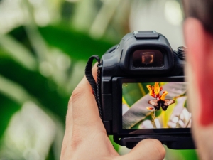 corso base di fotografia